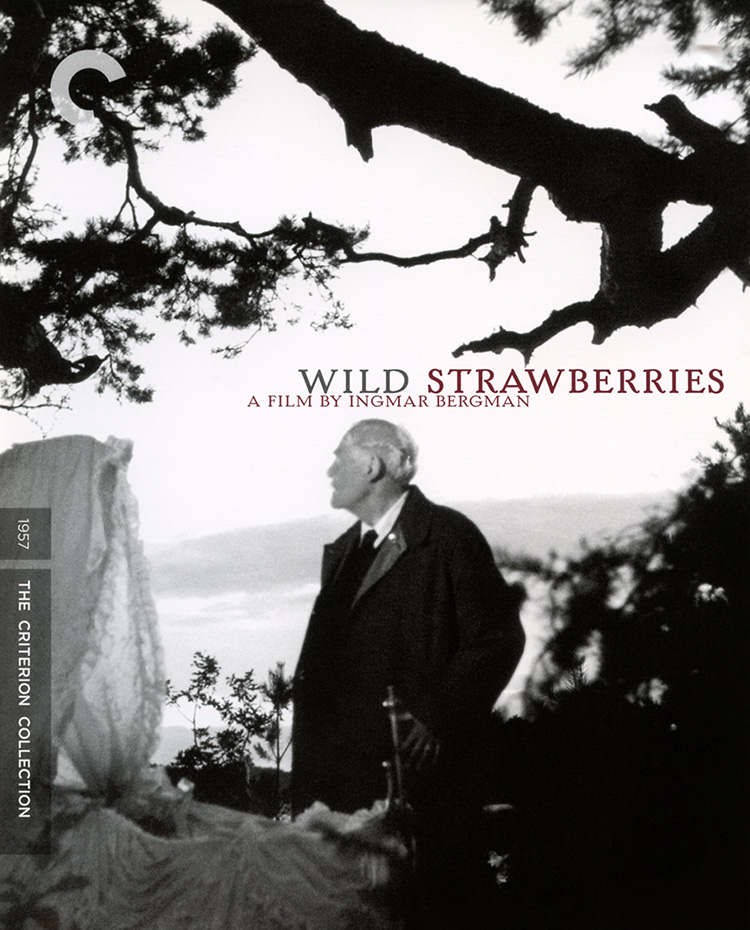 Wild Strawberries